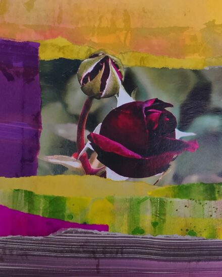 collage-sobre-carton-flor